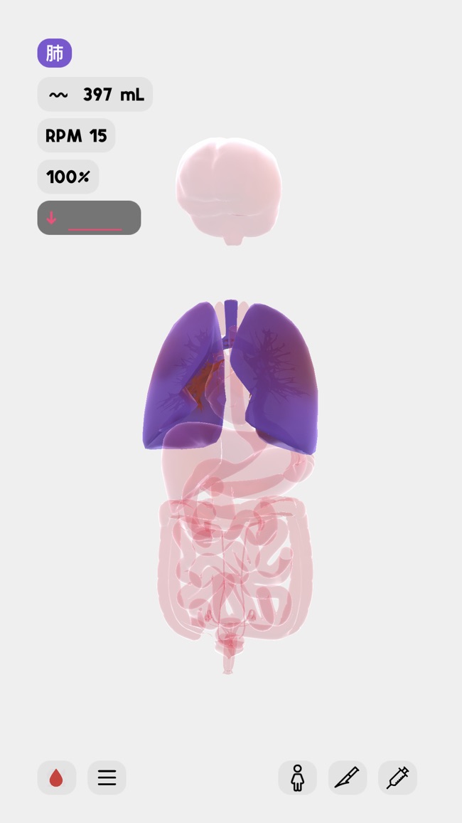 Life生命模拟器