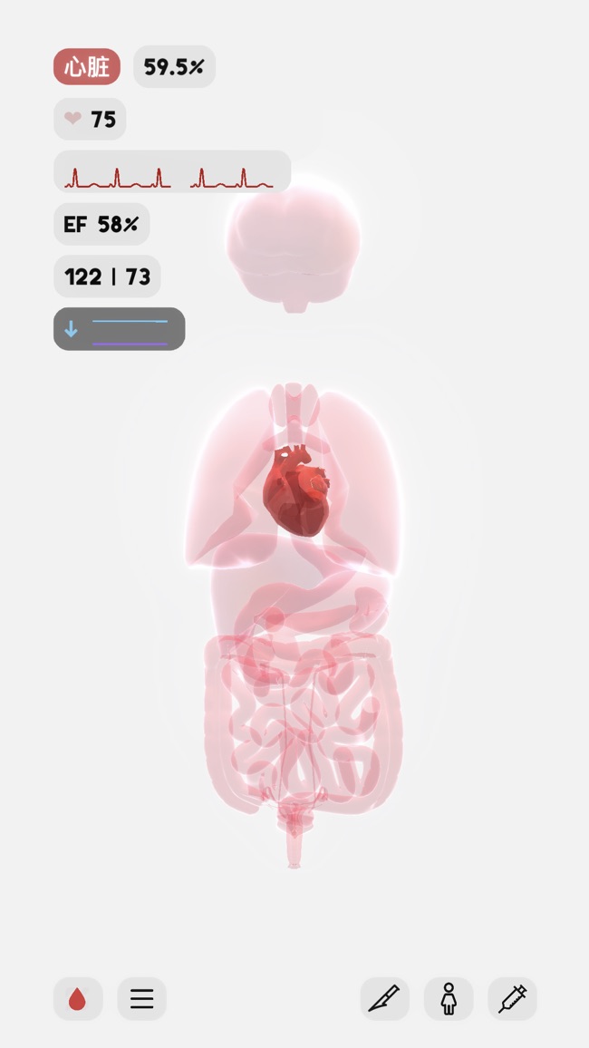 Life生命模拟器