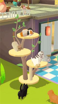 我需要猫咪最新版