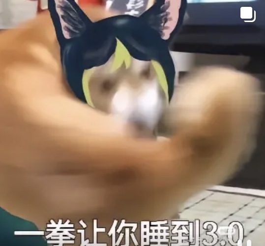 提纳里表情包
