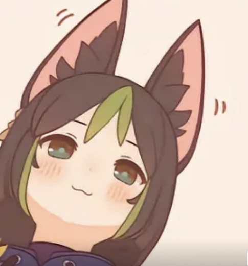 提纳里表情包