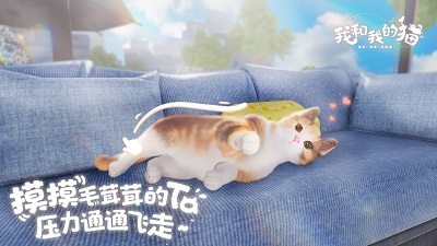 我和我的猫2024最新版