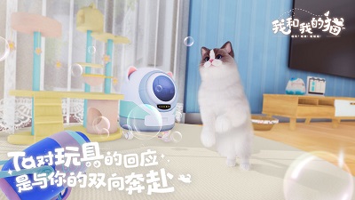 我和我的猫2024最新版