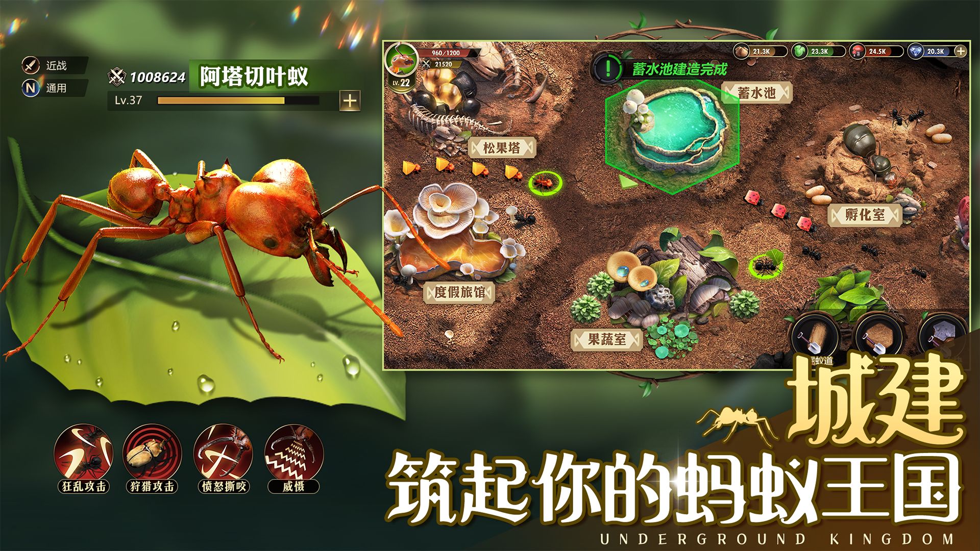 小小蚁国2024