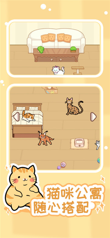 解压猫咪