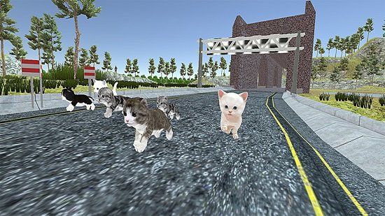 小猫对决游戏下载最新版