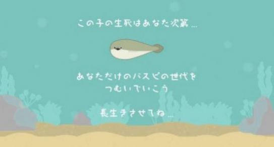 萨卡班甲鱼饲养下载安装