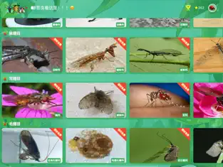 昆虫问问