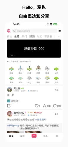 宠也