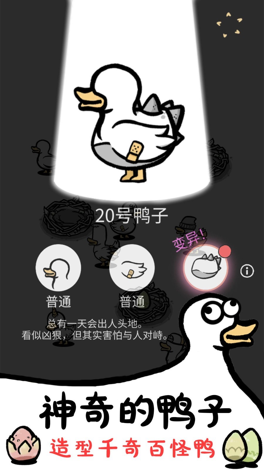 神奇的鸭子无广告版下载