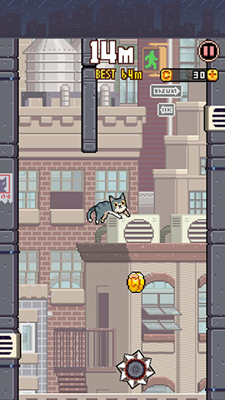CatJump