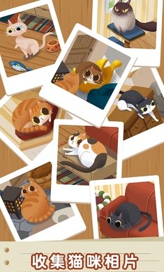 猫咪慵懒的日常下载官方版