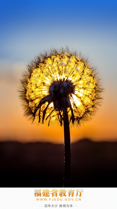 福建省教育厅考试app下载