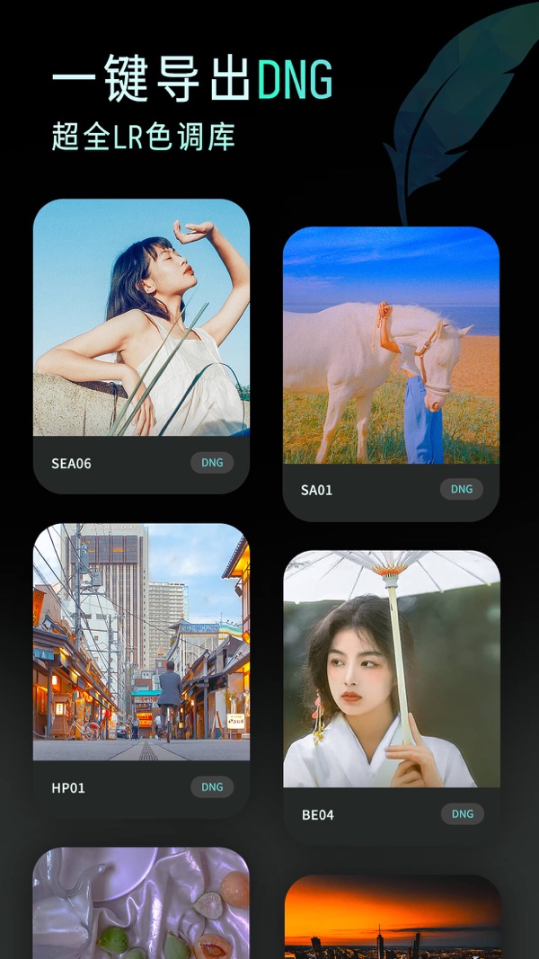 koloro官方版下载