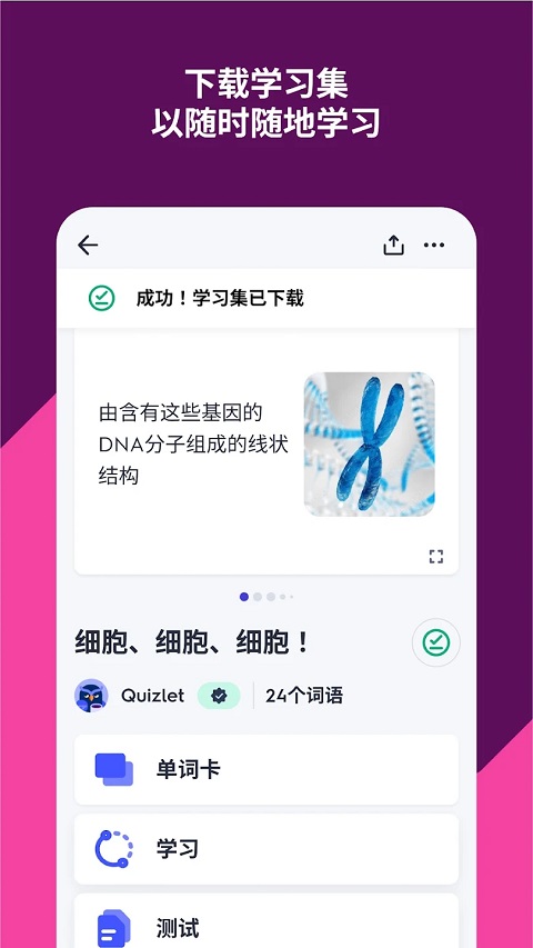 Quizlet软件下载