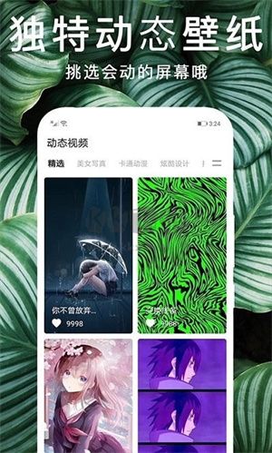 灵猫桌面壁纸2024官方版免费下载