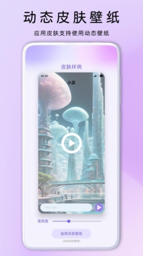 灵动主题皮肤2024最新版