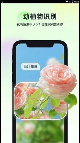 智能识万物