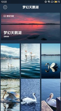 壁纸图片大师官方版