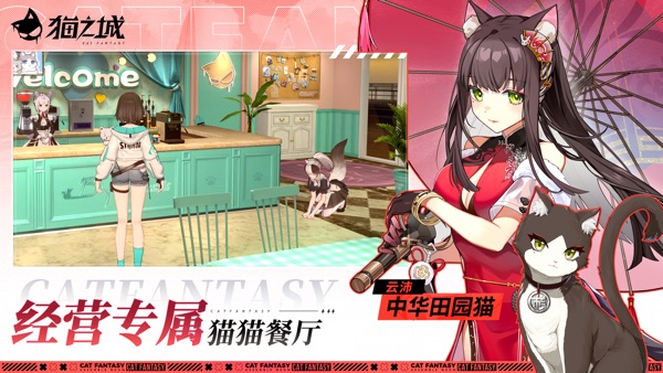 猫之城 2.0新章版本