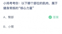 支付宝蚂蚁庄园2022年5月19日答案更新（以下哪个部位的肌肉，属于健身常练的核心力量？5月
