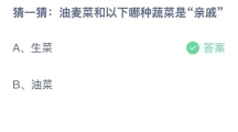 支付宝蚂蚁庄园2022年5月24日答案更新（油麦菜和以下哪种蔬菜是亲戚？5月24日答案分享）