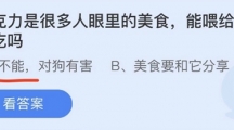 支付宝蚂蚁庄园2022年6月13日答案更新（巧克力是很多人眼里的美食，能喂给狗狗吃吗?6月13日答