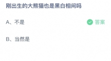 支付宝蚂蚁庄园2022年6月16日答案更新（刚出生的大熊猫也是黑白相间吗？6月16日答案分享）