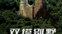 百变大侦探双塔别墅凶手是谁（百变大侦探双塔别墅谋杀案凶手攻略）