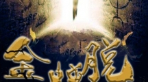 百变大侦探金蝉脱壳走廊攻略（百变大侦探金蝉脱壳走廊密码多少）