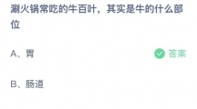 支付宝蚂蚁庄园2022年8月15日答案更新（涮火锅常吃的牛百叶，其实是牛的什么部位？8月15日答