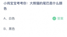 支付宝蚂蚁庄园2022年9月4日答案更新（大熊猫的尾巴是什么颜色？9月4日答案分享）