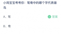 支付宝蚂蚁庄园2022年9月9日答案更新（鸳鸯中的哪个字代表雄鸟？9月9日答案分享）