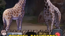صĵ涯԰ͨع