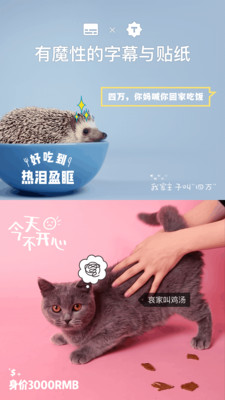 猫饼 1.9.50 安卓版