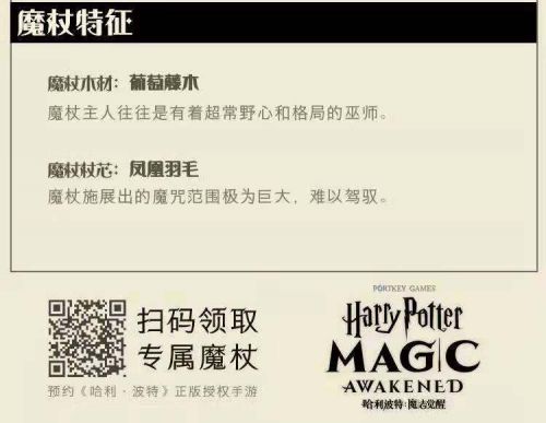 《哈利波特》手游验证码收不到怎么办