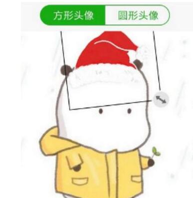 《微信》2019头像圣诞帽添加方法介绍