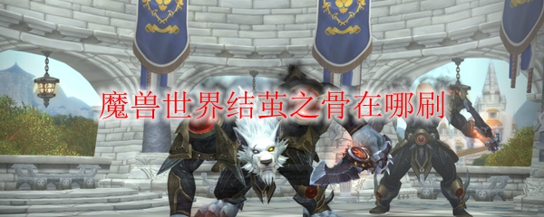 《魔兽世界》结茧之骨掉落地点