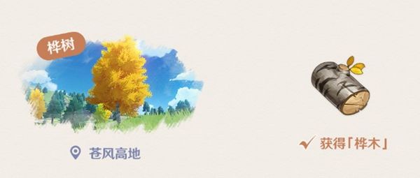 《原神》桦木哪里多一点