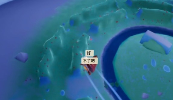 《光遇》小王子捉迷藏第二次在哪