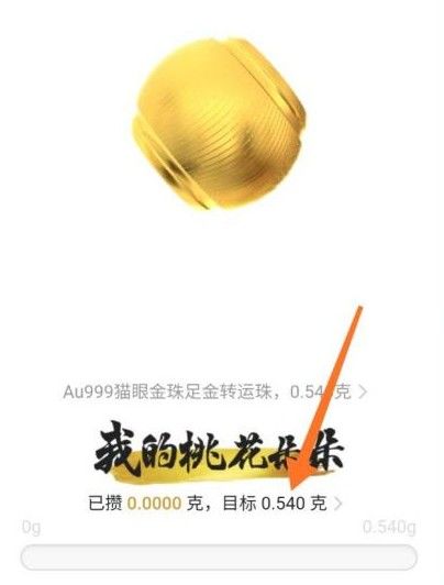《支付宝》怎么定制项链