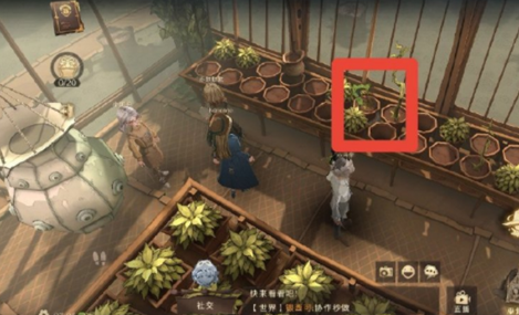 《哈利波特魔法觉醒》在这里在哪