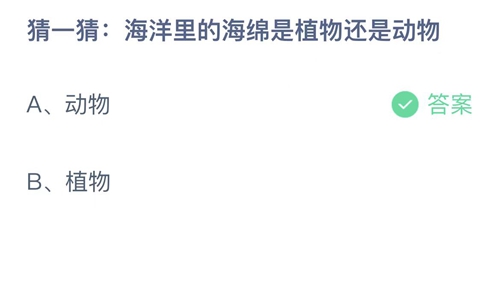 支付宝蚂蚁庄园2022年8月11日答案更新（海洋里的海绵是植物还是动物？8月11日答案分享）