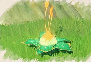 原神森林书任务怎么完成（原神森林书任务攻略）