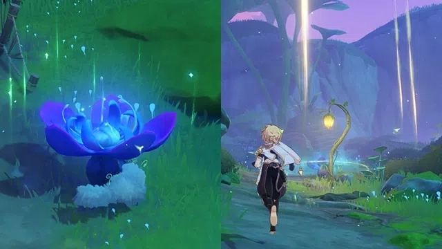 《原神》幻梦之门开启方法