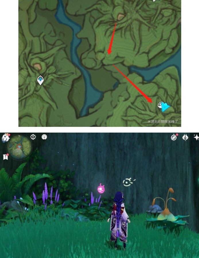 《原神》善见地的水天丛林任务解密攻略