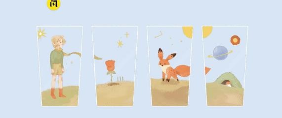 《收纳达人》小王子怎么过