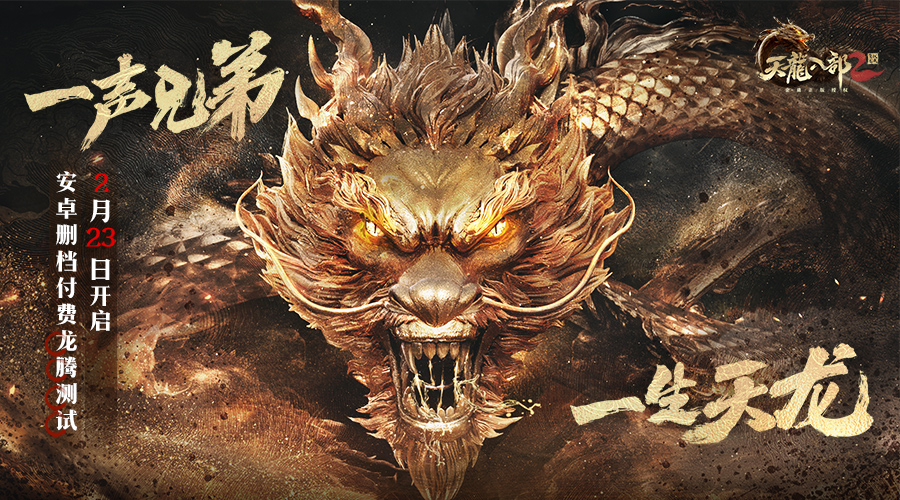 《天龙八部2：飞龙战天》丐帮全技能攻略