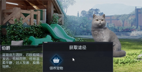 《黎明觉醒》宠物系统怎么开