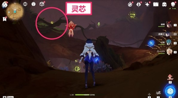 《原神》蔓生灵芯位置及解谜方法攻略